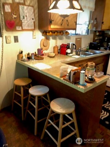 431 N Mt Seattle Way, Hoodsport, WA 98548