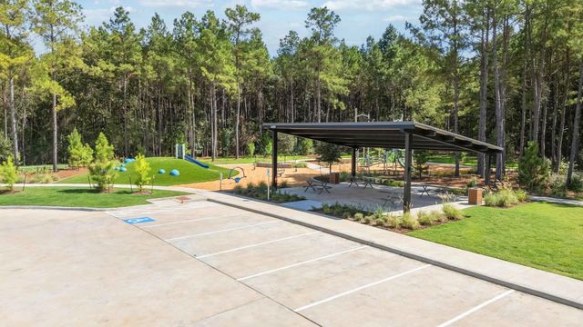 25131 Pomegranate Place, Montgomery, TX 77316
