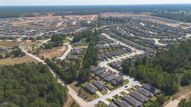 306 Wisteria Manor Street, Magnolia, TX 77354