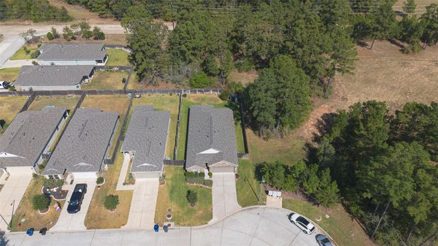 306 Wisteria Manor Street, Magnolia, TX 77354