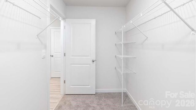 3707 Coleman Drive, Charlotte, NC 28215