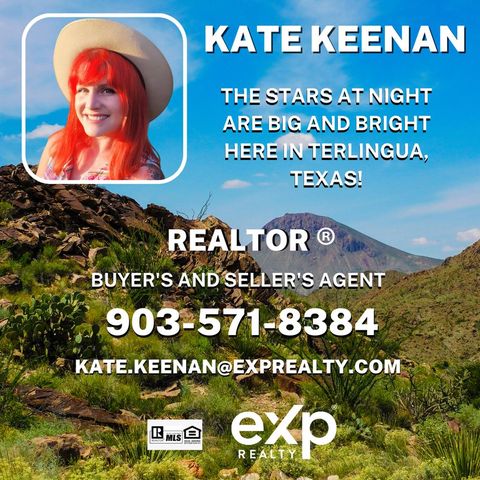 8652 Dagger Blvd, Terlingua, TX 79852