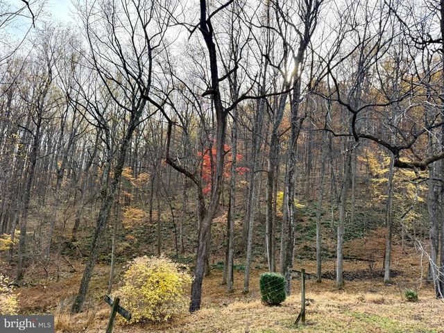 669 GID BROWN HOLLOW RD, Washington, VA 22747