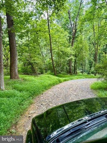 669 GID BROWN HOLLOW RD, Washington, VA 22747