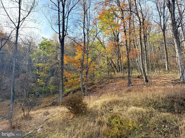 669 GID BROWN HOLLOW RD, Washington, VA 22747