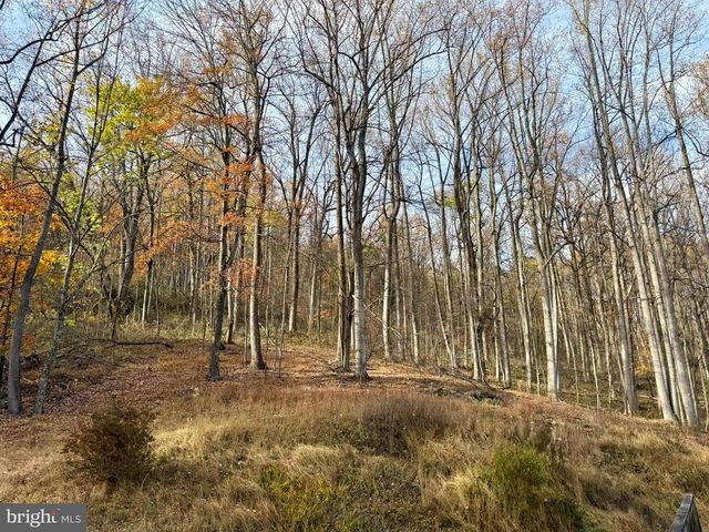 669 GID BROWN HOLLOW RD, Washington, VA 22747