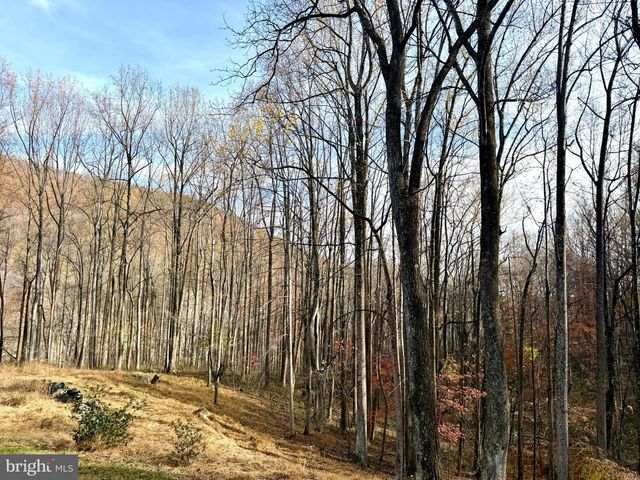 669 GID BROWN HOLLOW RD, Washington, VA 22747