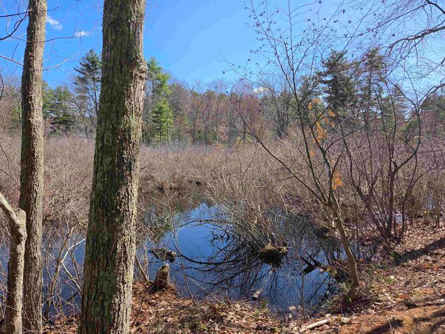 22 Tokanel Road, Windham, NH 03087
