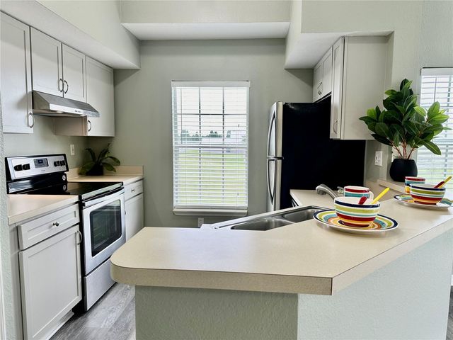 10534 WHITE LAKE COURT 10534, Tampa, FL 33626