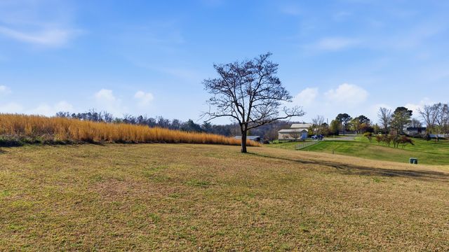 195 Dogwood Lane, Spring City, TN 37381