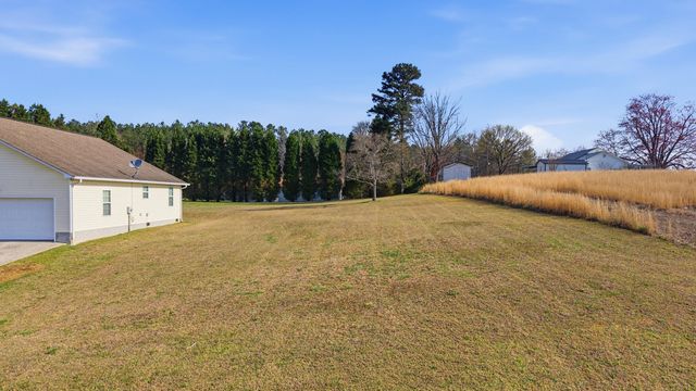 195 Dogwood Lane, Spring City, TN 37381