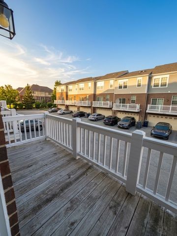 10609 Paige Circle, Orland Park, IL 60462