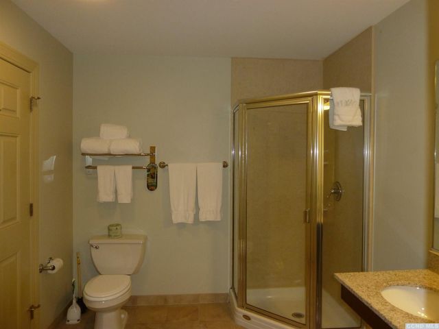 62 Liftside Drive 312d1, Hunter, NY 12442