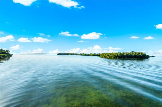 2059 N POINTE ALEXIS DRIVE, Tarpon Springs, FL 34689