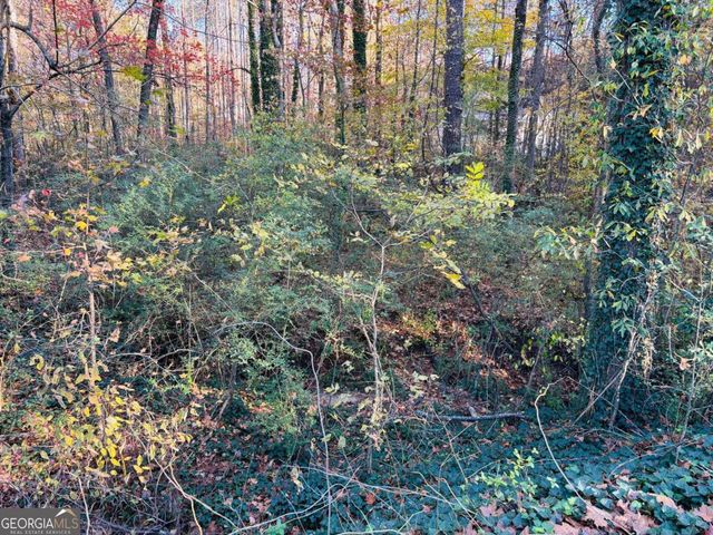 0 Reynolds Road, South Fulton, GA 30331