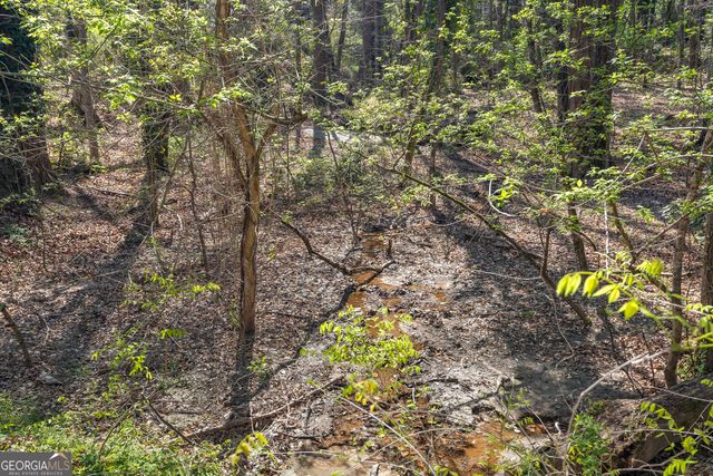 1310 Ivywood Drive, Athens, GA 30606