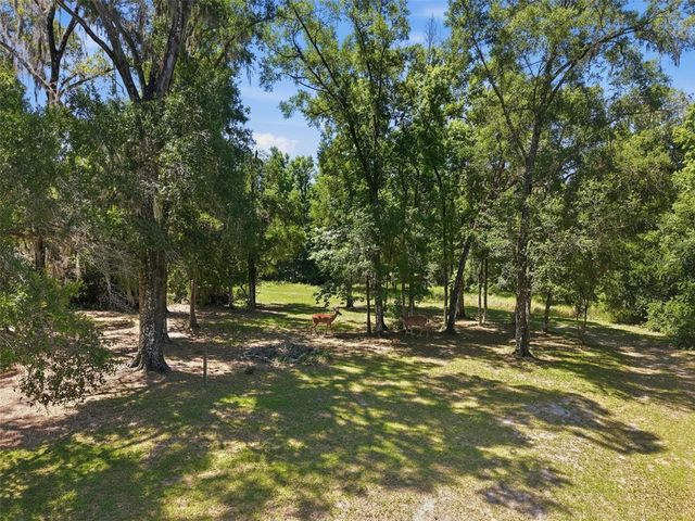 16145 SNOW MEMORIAL HIGHWAY, Brooksville, FL 34601