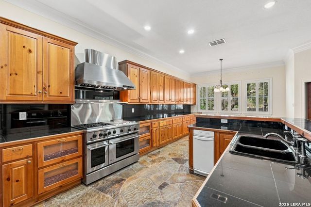 17323 FOUNTAIN BLUFF DR, San Antonio, TX 78248