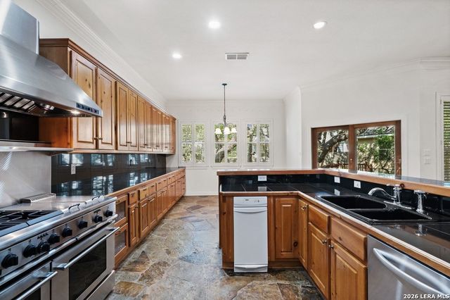 17323 FOUNTAIN BLUFF DR, San Antonio, TX 78248