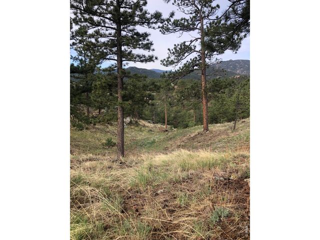 1960 Colard Ln, Lyons, CO 80540