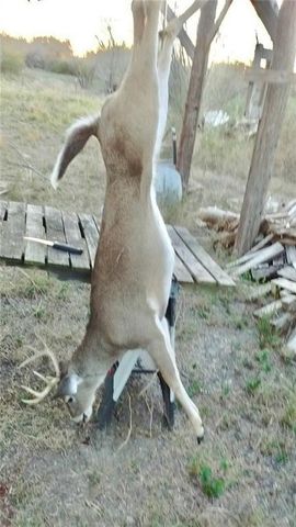 4204 County Road 308, Orange Grove, TX 78372