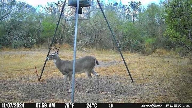 4204 County Road 308, Orange Grove, TX 78372