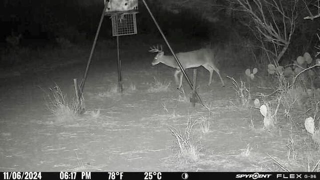 4204 County Road 308, Orange Grove, TX 78372