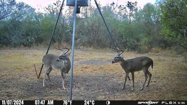 4204 County Road 308, Orange Grove, TX 78372