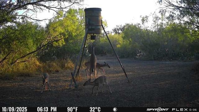 4204 County Road 308, Orange Grove, TX 78372