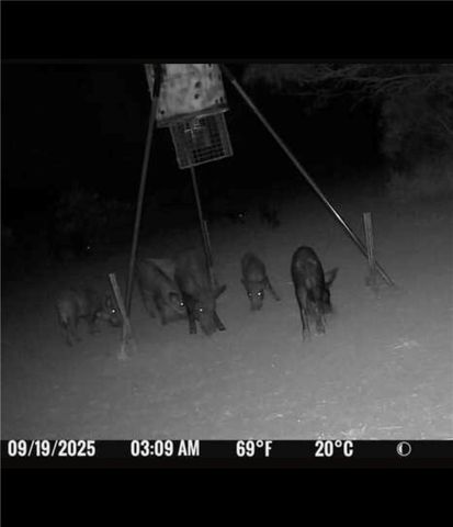 4204 County Road 308, Orange Grove, TX 78372