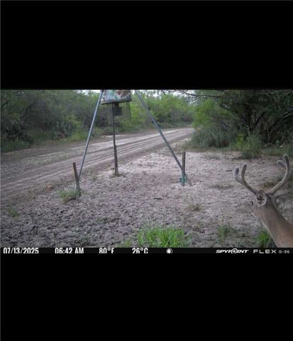 4204 County Road 308, Orange Grove, TX 78372