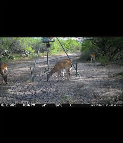 4204 County Road 308, Orange Grove, TX 78372