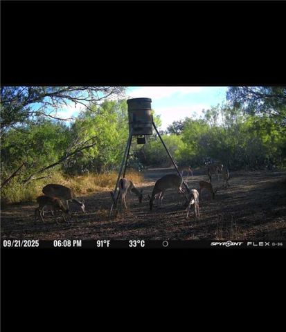 4204 County Road 308, Orange Grove, TX 78372