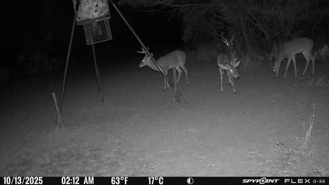 4204 County Road 308, Orange Grove, TX 78372