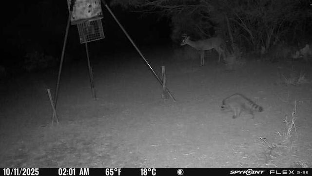 4204 County Road 308, Orange Grove, TX 78372