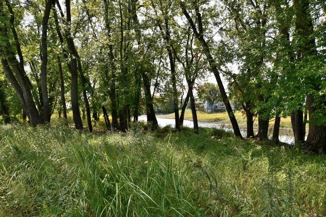 530 Lakeside Bay Drive S, Bayport, MN 55003