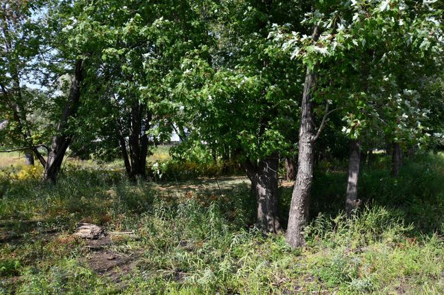 530 Lakeside Bay Drive S, Bayport, MN 55003