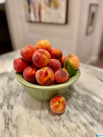 2456 TYLER ROAD, Vestavia Hills, AL 35226