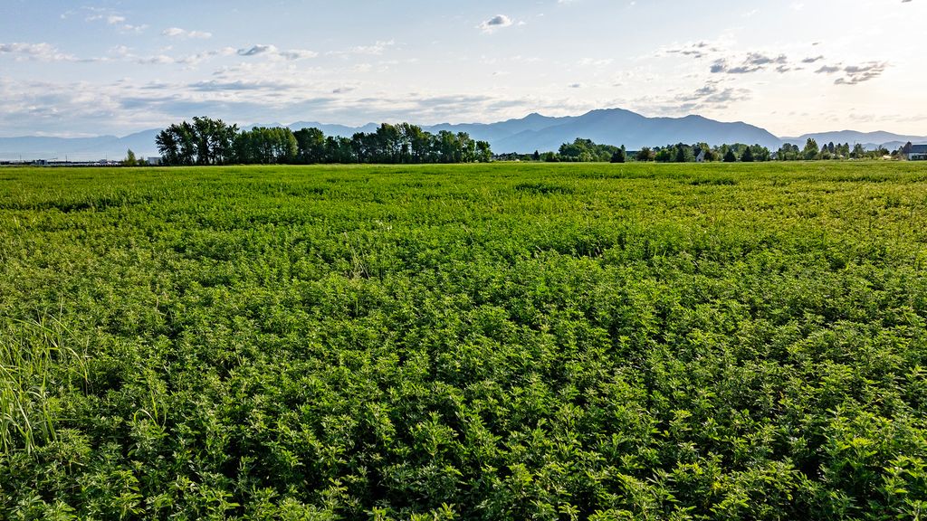 3849 Staffanson Road, Bozeman, MT 59718 photo 12