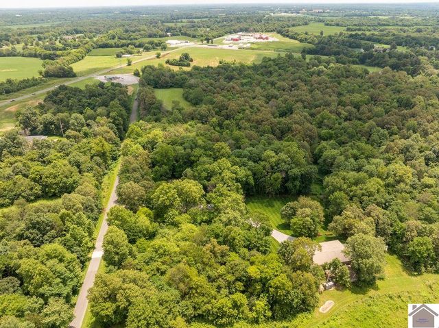 250 Stahr Rd, Fancy Farm, KY 42039