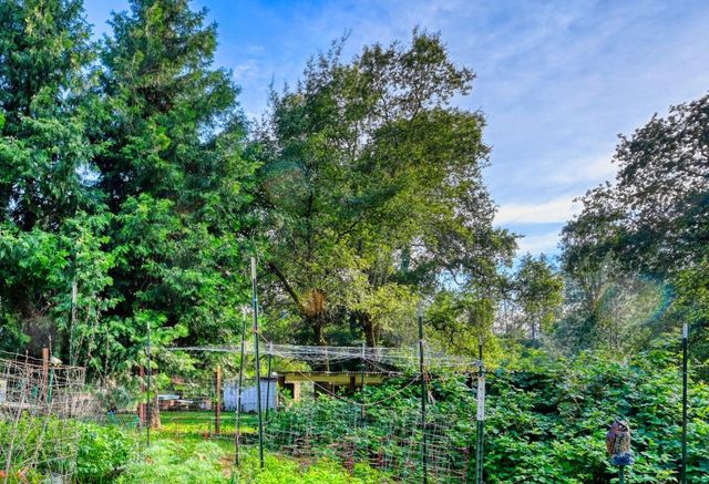 10016 E Lime Kiln Rd, Grass Valley, CA 95949