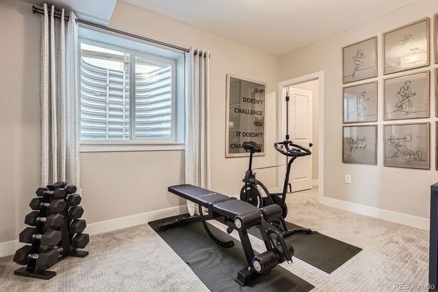 13796 Daffodil Point, Parker, CO 80134