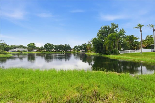17024 WINNERS CIRCLE, Odessa, FL 33556