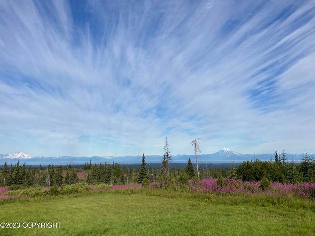 50714 Oil Well Road, Ninilchik, AK 99639