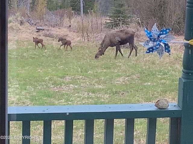 50714 Oil Well Road, Ninilchik, AK 99639