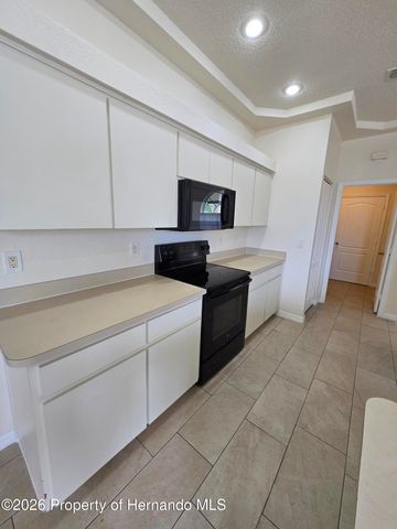 13130 Odham Street, Spring Hill, FL 34609