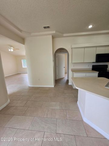 13130 Odham Street, Spring Hill, FL 34609
