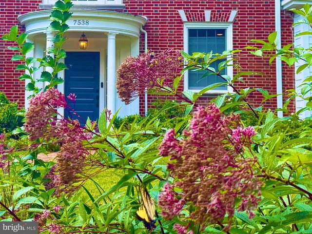 7538 MORNINGSIDE DR NW, Washington, DC 20012