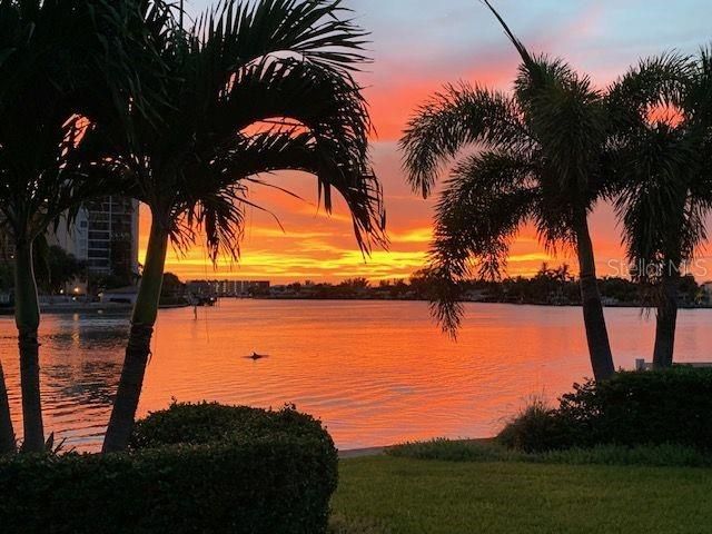 1201 81ST STREET S, St Petersburg, FL 33707