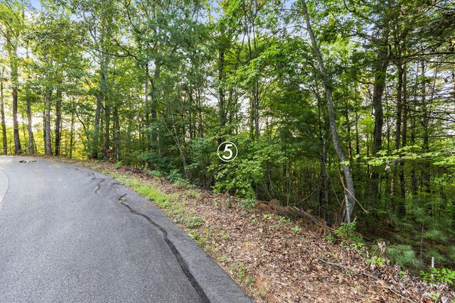 lot 5 Timber Oaks Drive, Turtletown, TN 37391